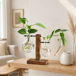 Glass Bulb Vase with Wood Stand – Hydroponic Propagation Planter Desk Decor