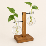 Glass Bulb Vase with Wood Stand – Hydroponic Propagation Planter Desk Decor