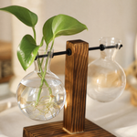 Glass Bulb Vase with Wood Stand – Hydroponic Propagation Planter Desk Decor