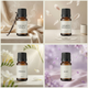 Wooden Aromatherapy Diffuser Set – Natural Scent Release with Essential Oil for Desk Office Bedroom