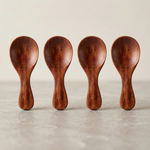 Mini Wooden Spoons Set of 4 – Natural & Dark Wood, for Spices and Condiments