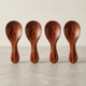 Mini Wooden Spoons Set of 4 – Natural & Dark Wood, for Spices and Condiments