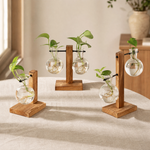 Glass Bulb Vase with Wood Stand – Hydroponic Propagation Planter Desk Decor