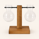 Glass Bulb Vase with Wood Stand – Hydroponic Propagation Planter Desk Decor
