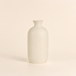 Minimalist Vase – Nordic Style Matte Plastic Home Decor, Modern Living Room Accent