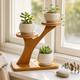 2-Tier Bamboo Plant Stand – Compact Shelf for Desktop, Office and Home Decor