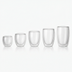 Double Wall Glass Coffee Mug – Heat Resistant Borosilicate Cup for Hot and Cold Drinks