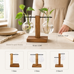 Glass Bulb Vase with Wood Stand – Hydroponic Propagation Planter Desk Decor