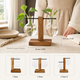 Glass Bulb Vase with Wood Stand – Hydroponic Propagation Planter Desk Decor