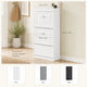 Shoe Cabinet with 3 Flip Drawers – Slim Entryway Storage Rack, White Grey Black