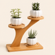 2-Tier Bamboo Plant Stand – Compact Shelf for Desktop, Office and Home Decor